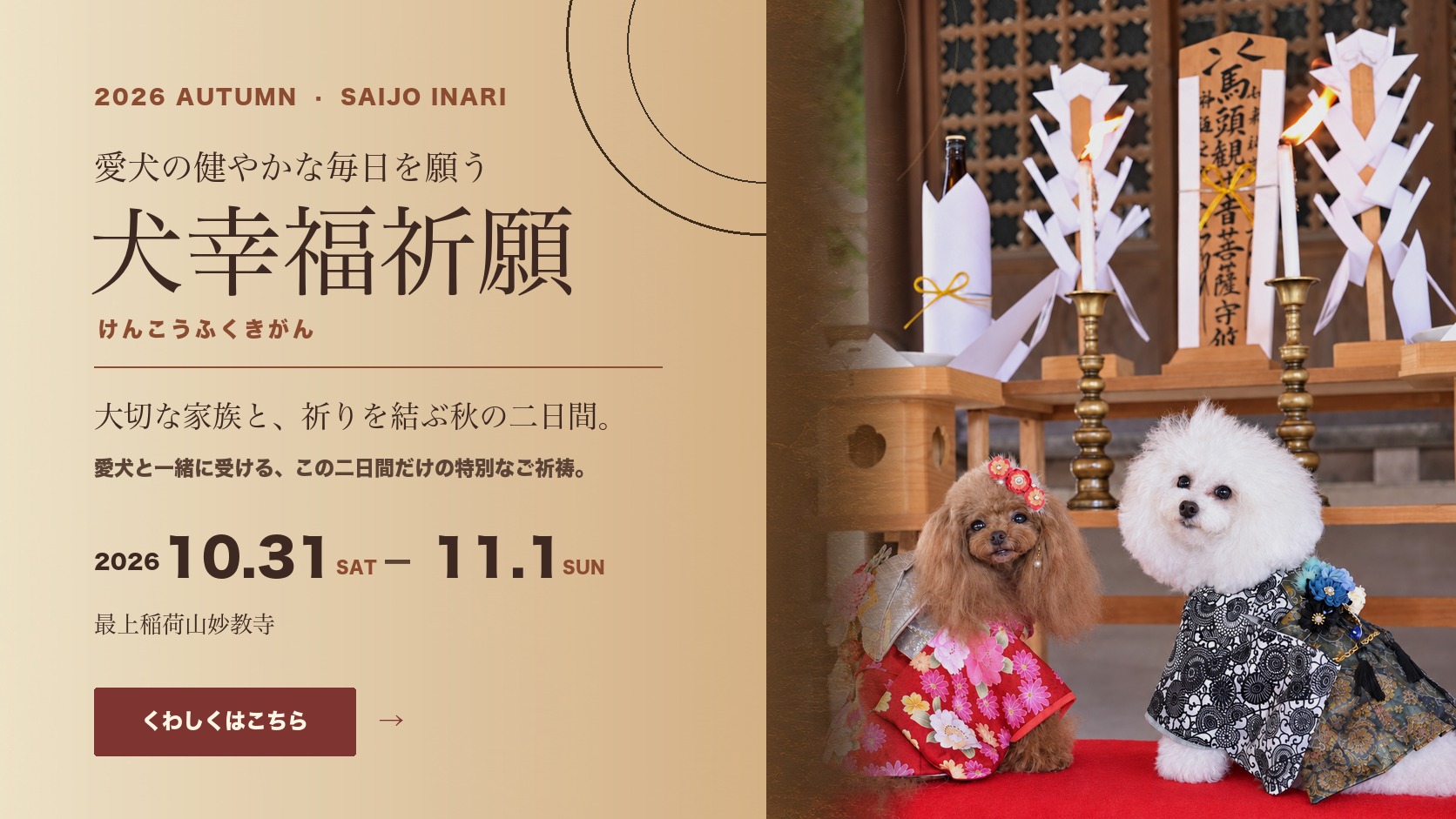 愛犬の健やかな毎日を願う　犬幸福祈願